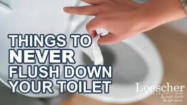 Never flush down the toilet